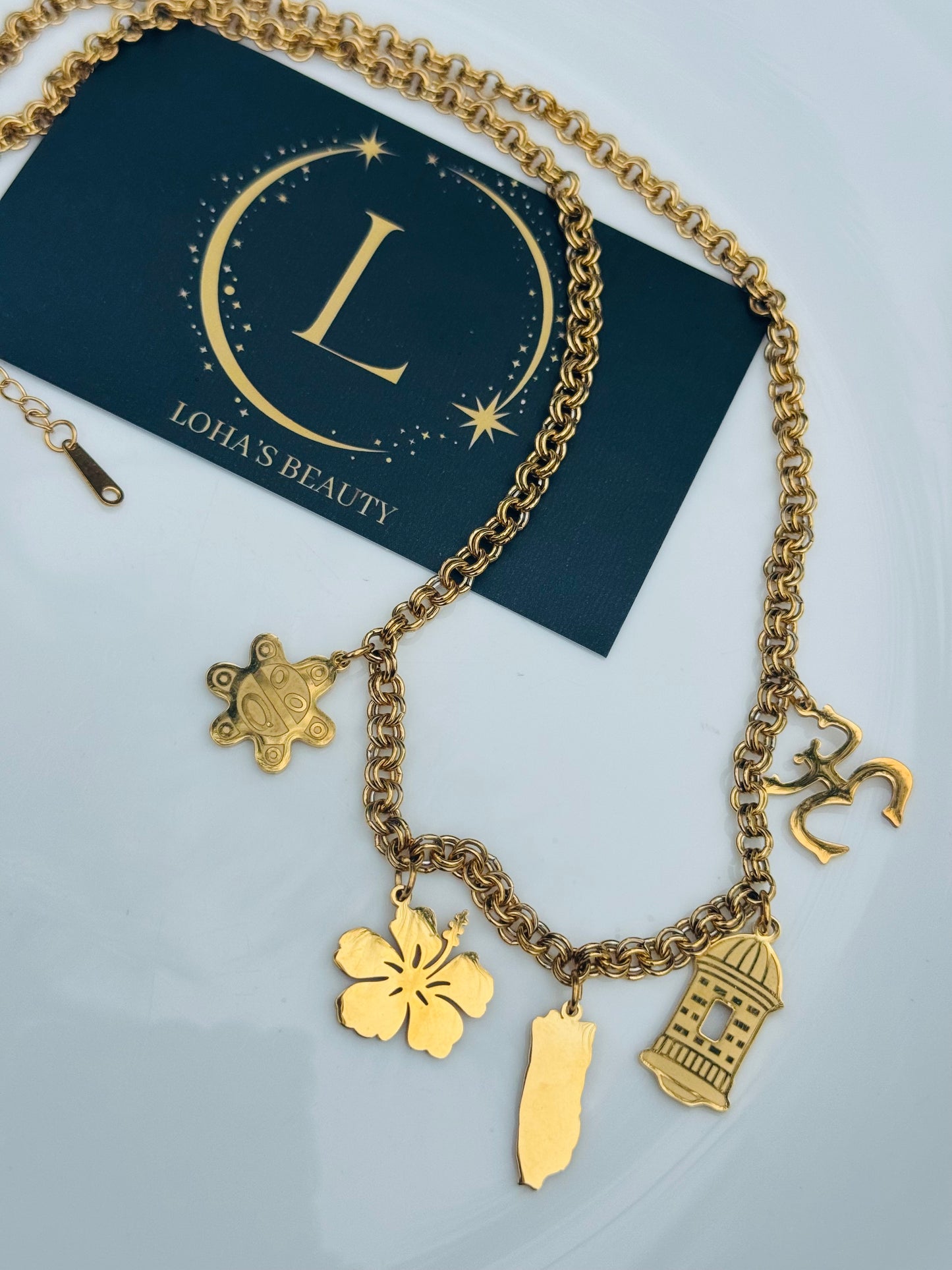 Encantó mi isla 🇵🇷🐸🌺